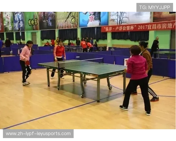 羽毛球商业开发 羽毛球商业开发