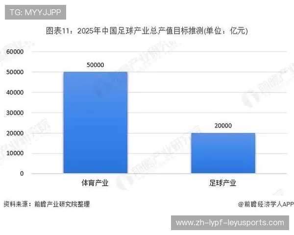 足球赛事的跨国运营与投资分析